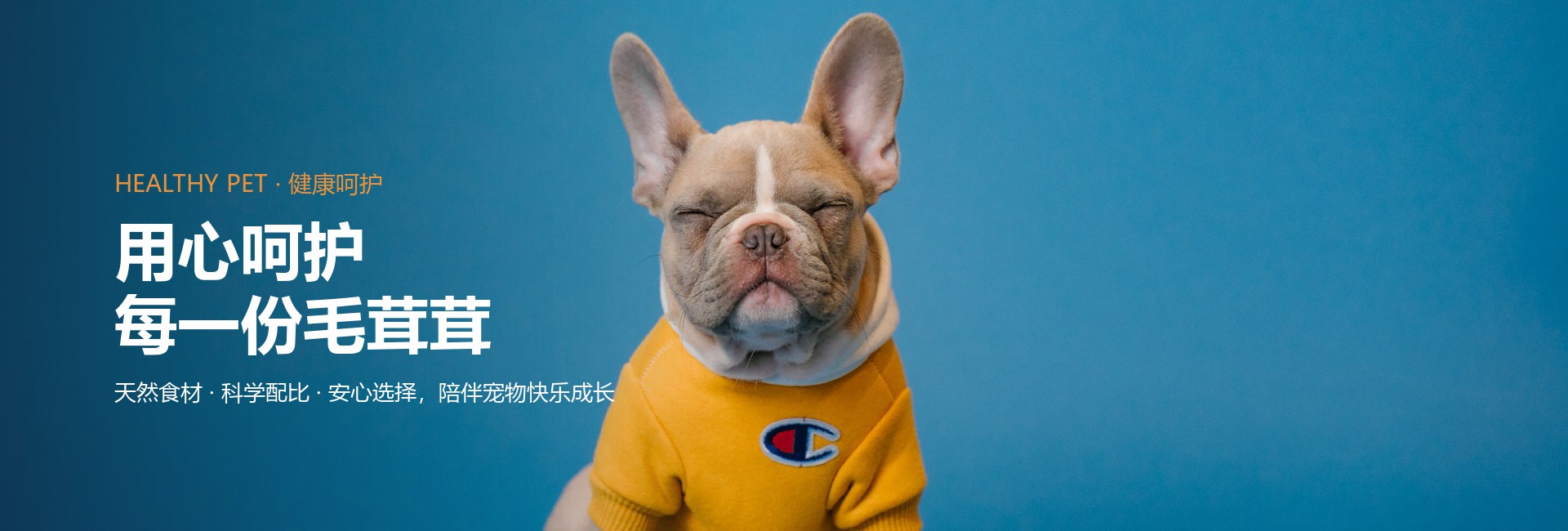 用心呵护，宠爱无限