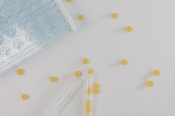 合成生物学兴起 工具酶迎来发展新机遇
